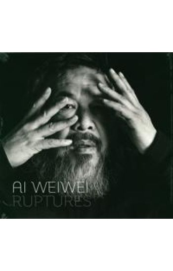 Ai Weiwei, Ruptures