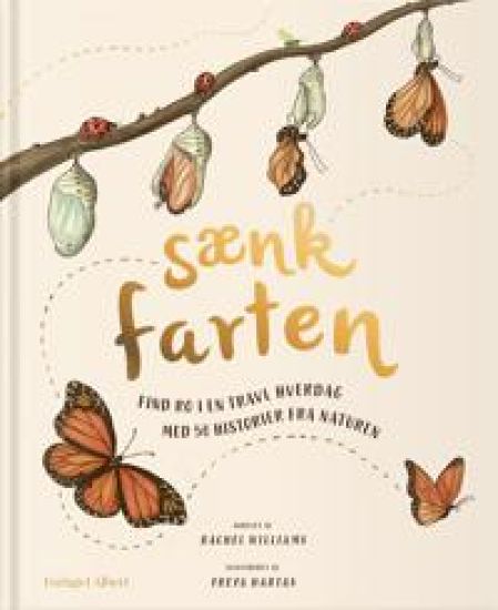 Sænk farten