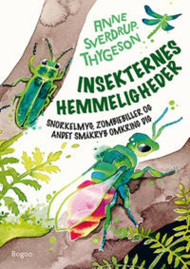 Kansikuva: Insekternes hemmeligheder