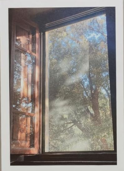 In Constant Hilarity