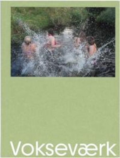 Mads Joakim Rimer Rasmussen - Voksevaerk