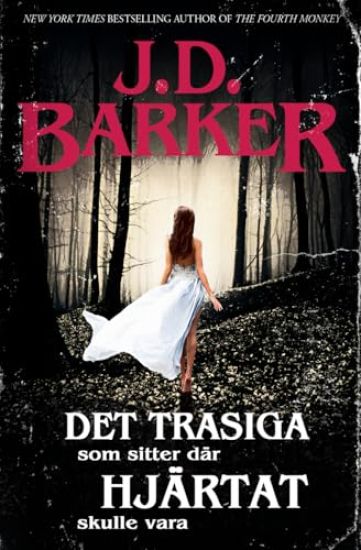 Det Trasiga Som Sitter Där Hjärtat Skulle Vara