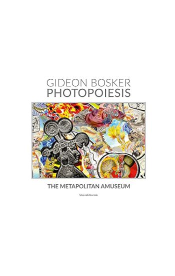 Gideon Bosker: Photopoesis, the Metapolitan Museum