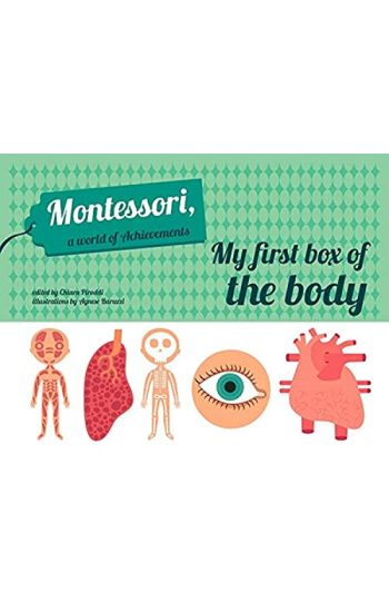 My First Box of the Body - Montessori World of Achievements