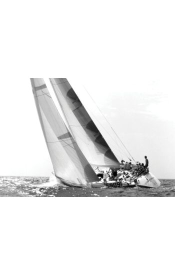 Andrea Vallicelli
