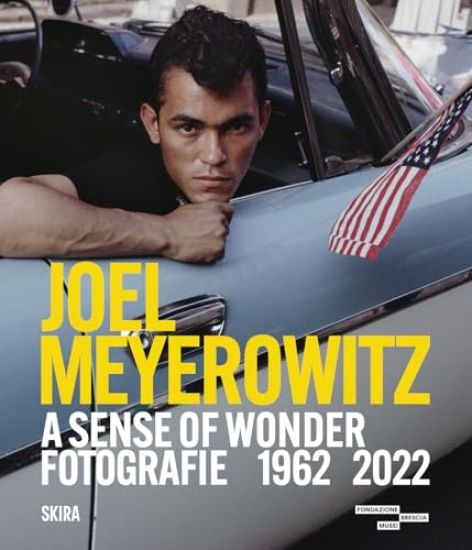 Joel Meyerowitz: A Sense of Wonder (Bilingual edition)