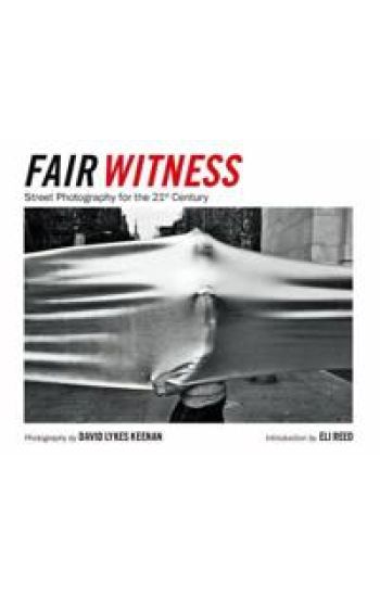 Fair Witness