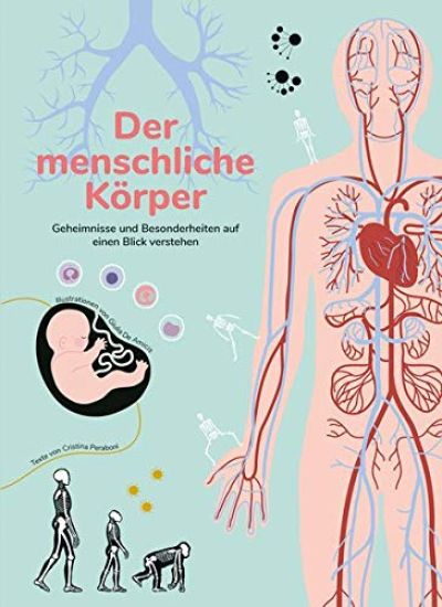 Der menschliche Körper