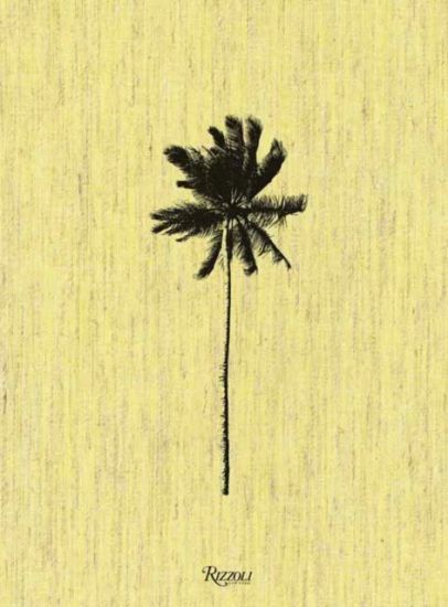 Decoding Palm Culture