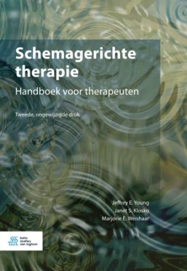Schemagerichte therapie