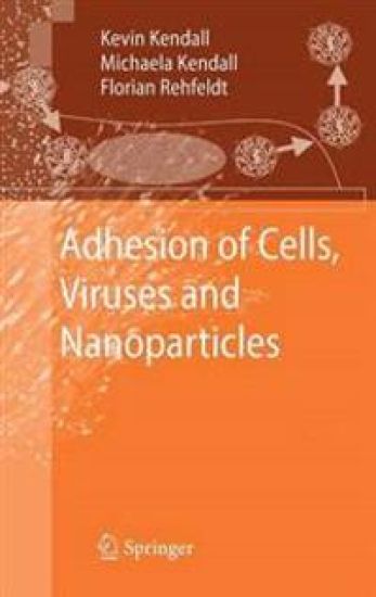 Adhesion of Cells, Viruses and Nanoparticles
