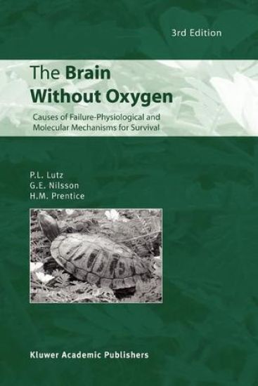 The Brain Without Oxygen