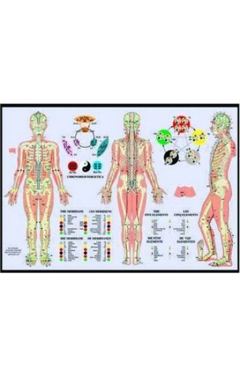 Meridiensthe Five Elements -- A2