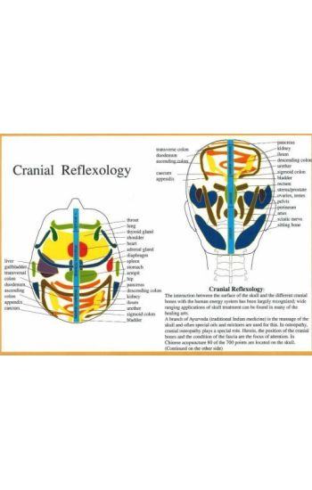Cranial Reflexology -- A4