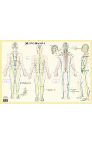 Qi Jing Ba Mai -- A2