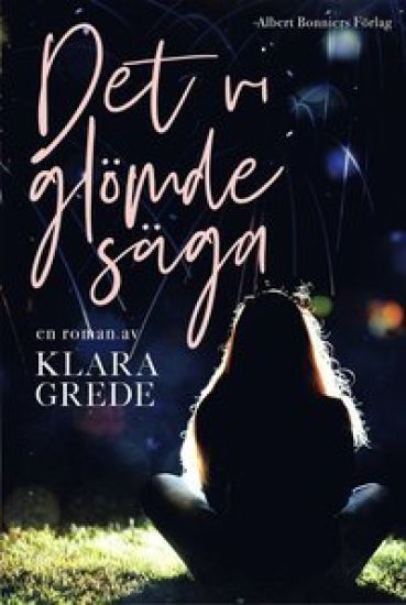 Det vi glömde säga