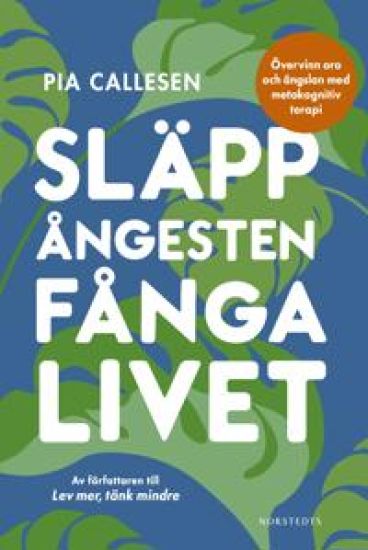 Släpp ångesten, fånga livet : övervinn oro och ängslan med metakognitiv terapi