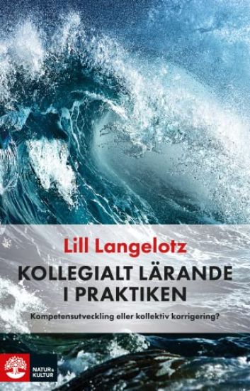 Kollegialt lärande i praktiken : kompetensutveckling eller kollektiv korrigering?