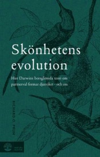 Skönhetens evolution : hur Darwins bortglömda teori om det sexuella urvalet formar djurriket - och oss