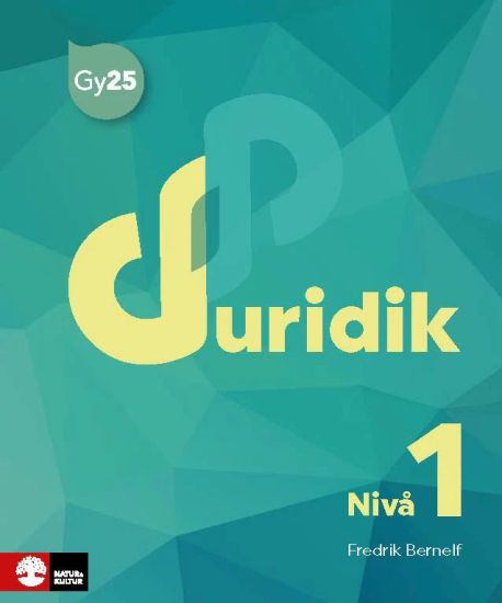 Juridik nivå 1