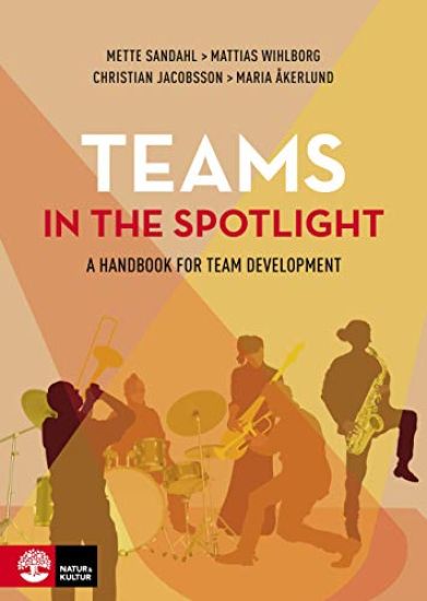 Teams in the spotlight : A handbook for team development