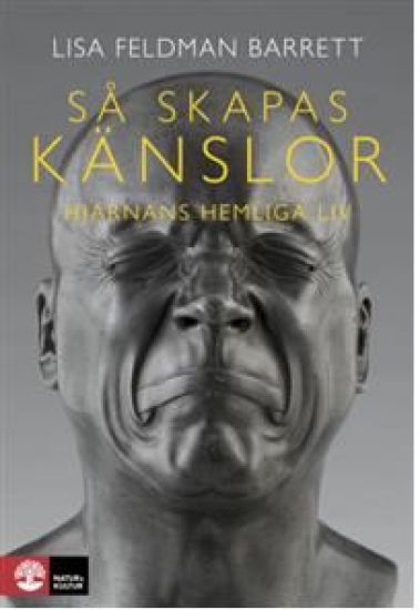 Så skapas känslor : Hjärnans hemliga liv