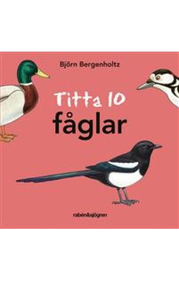 Titta 10 fåglar