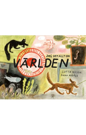 Jag vet allt om världen