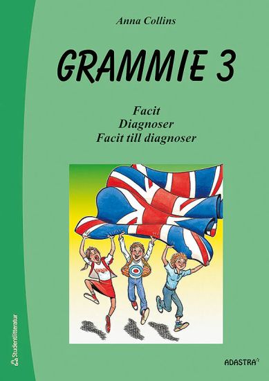 Grammie 3 Facit med diagnoser