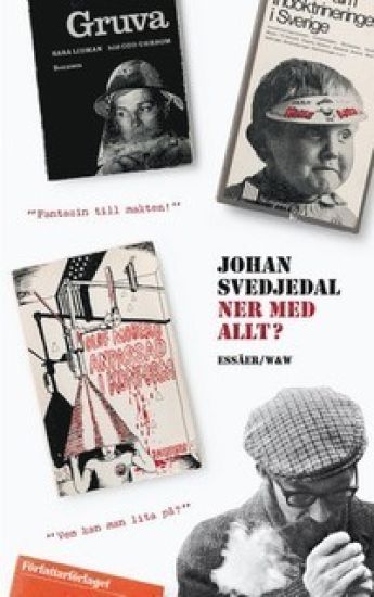 Ner med allt? : essäer om protestlitteraturen och demokratin, cirka 1965-1975