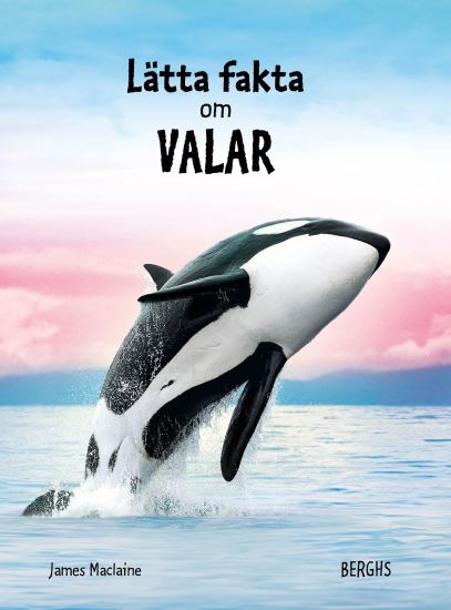 Lätta fakta om valar