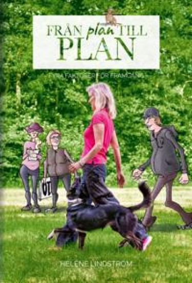 Från plan till plan