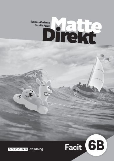 Matte Direkt 6B facit (5-pack)