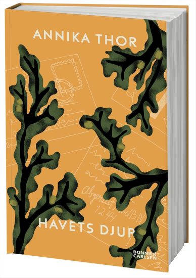 Havets djup