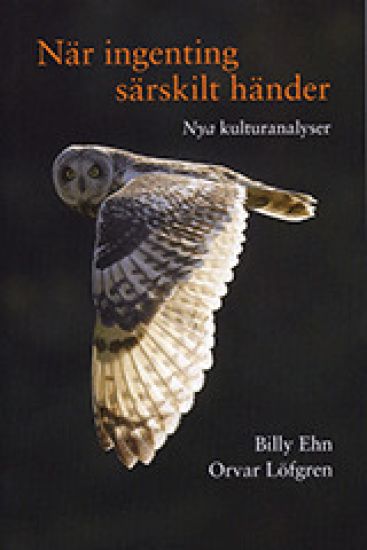 När ingenting särskilt händer : nya kulturanalyser