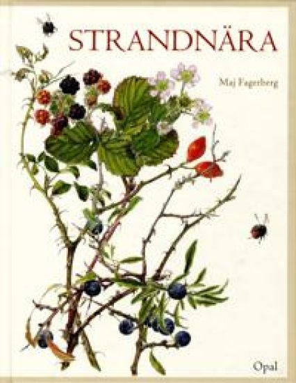 Strandnära