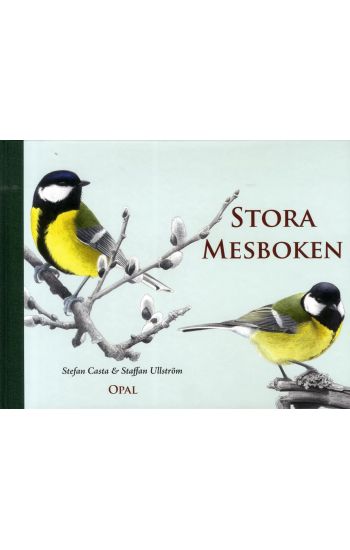 Stora mesboken
