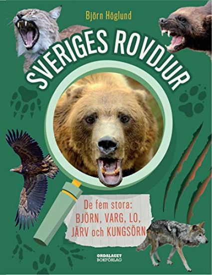Sveriges rovdjur : de fem stora: björn, varg, lo, järv och kungsörn