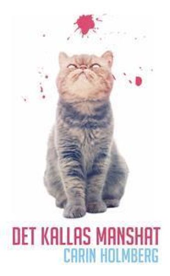 Det kallas manshat : en bok om feminism