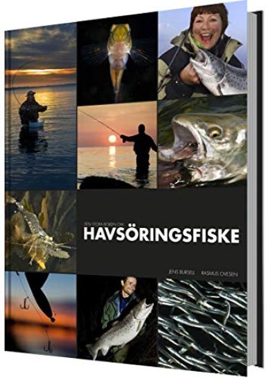 Den stora boken om havsöringsfiske