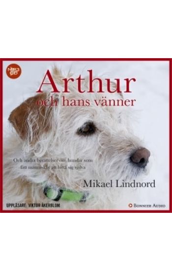 Arthur och hans vänner : och andra berättelser om hundar som fått människor att hitta sig själva