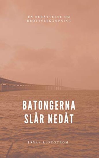 Batongerna slår nedåt : en berättelse om brottsbekämpning