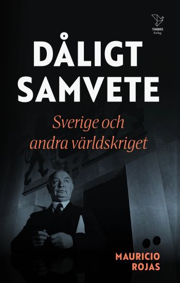 Dåligt samvete : Sverige och andra världskriget