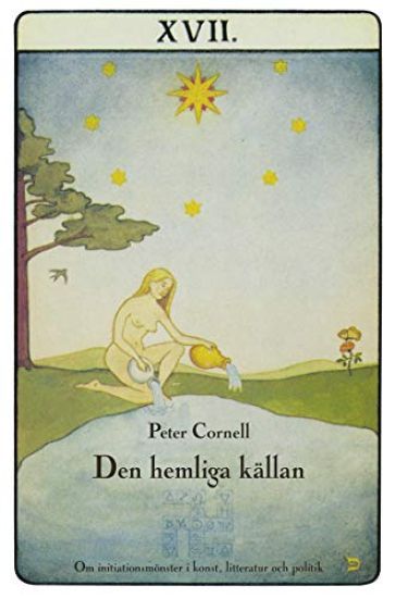 Den hemliga källan : om initiationsmönster i konst, litteratur och politik