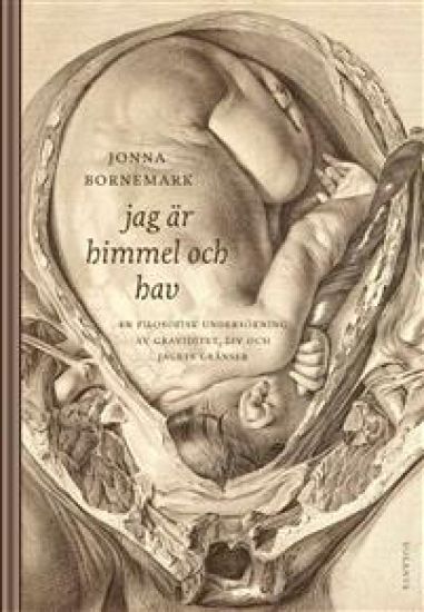 Jag är himmel och hav : en filosofisk undersökning av graviditet, liv och jagets gränser
