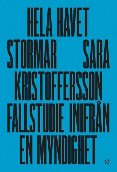 Hela havet stormar : fallstudie inifrån en myndighet