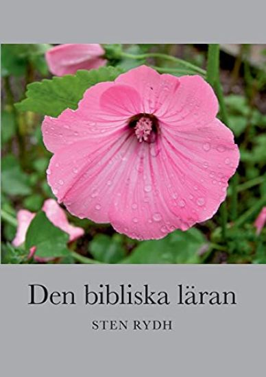 Den bibliska läran