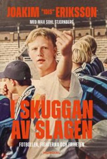 I skuggan av slaget