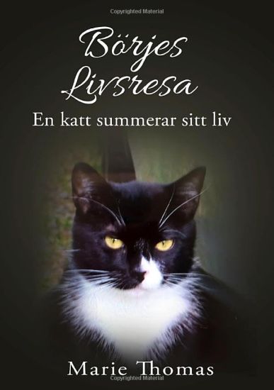 Börjes livsresa : en katt summerar sitt liv