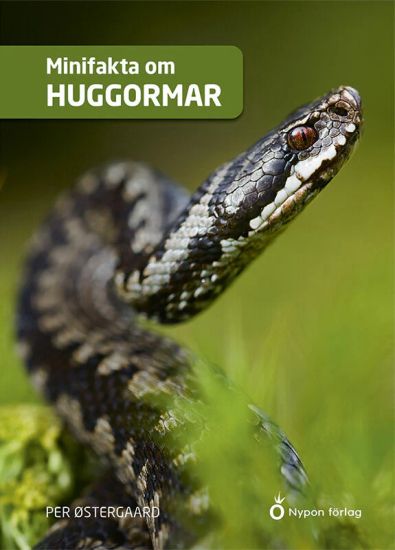 Minifakta om huggormar